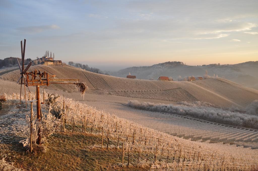Bed and Breakfast Weingut Koegl Рач-ан-дер-Вайнштрассе Экстерьер фото