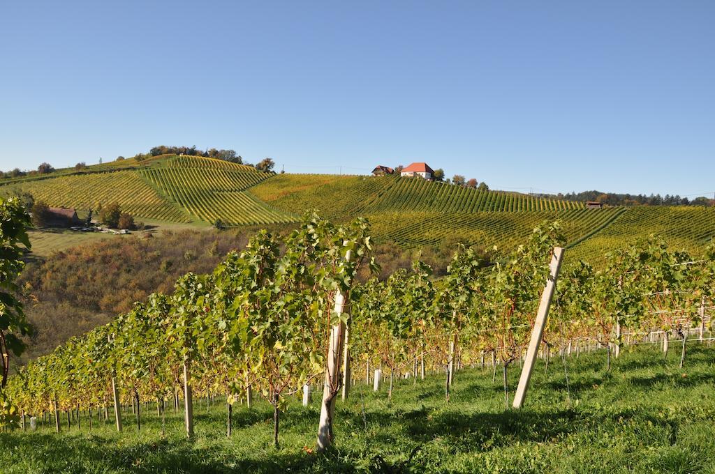 Bed and Breakfast Weingut Koegl Рач-ан-дер-Вайнштрассе Экстерьер фото